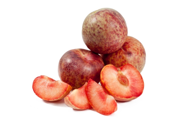 Шарафуга - гибрид, полученный при скрещивании персика, сливы и абрикоса
