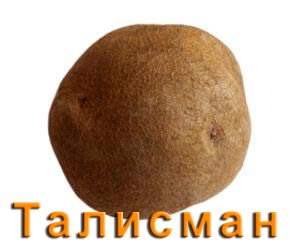 Картофель Талисман