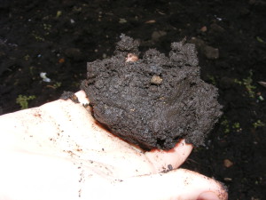 определение спелости почвы