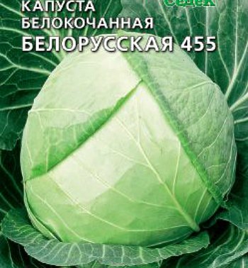 капуста сорт белорусская 455