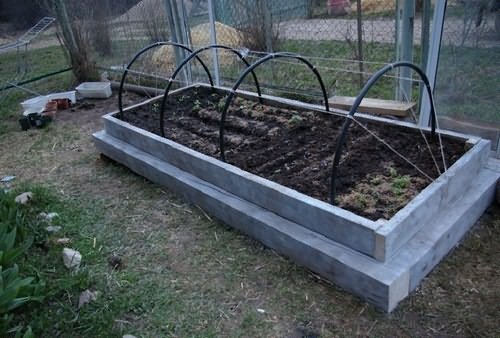 Как посадить огурцы в теплице для высокой урожайности – устроить компостную грядку