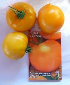 Сорт желтых томатов 