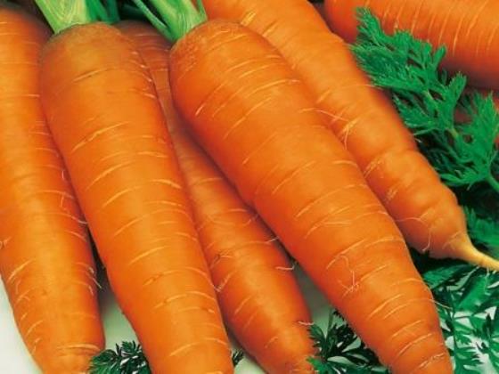 Любовь - морковь, секреты выращивания