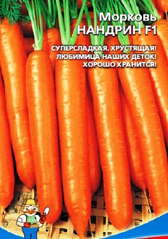 морковь Нандрин фото
