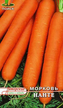 морковь Нанте фото