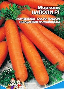 морковь Наполи фото