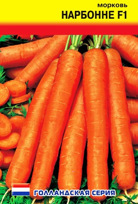 морковь сорт Нарбонне фото