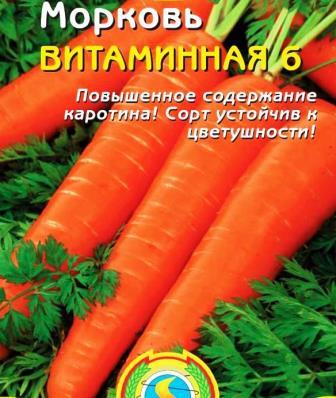 морковь Витаминная 6 фото