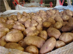 просушка картофеля