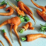 как вырастить морковь