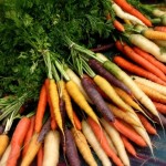 лучшие сорта моркови