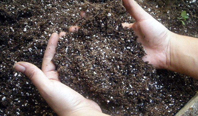 удобрение азотом почвы для баклажанов