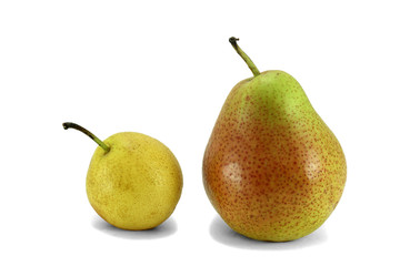 Размеры плодов