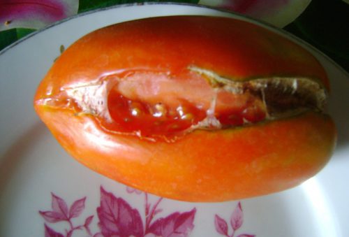 Треснувший томат