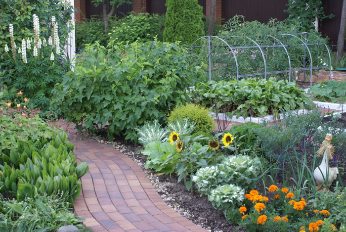 Работа в июле: огород, цветник, сад. Что нужно сделать в июле на даче.