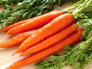 Посадка моркови под зиму