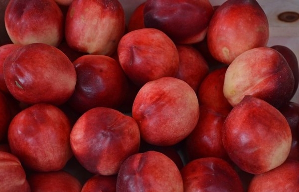Гибрид персика и яблока называется яблочный нектарин