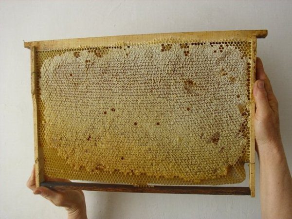 Рамка с печатным мёдом