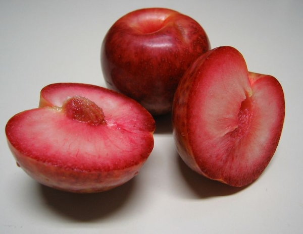 Плуот — гибрид, на ¼ состоящий из абрикоса и на ¾ из сливы