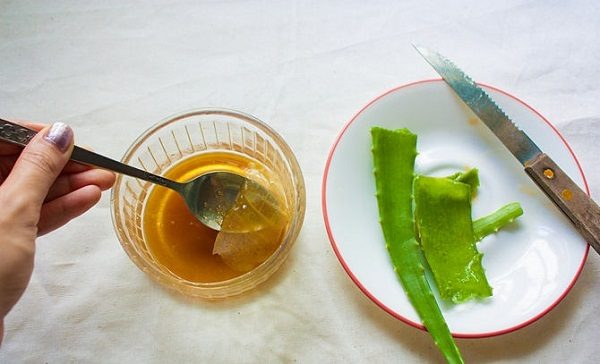 Рецепт алоэ с медом для заживления ран