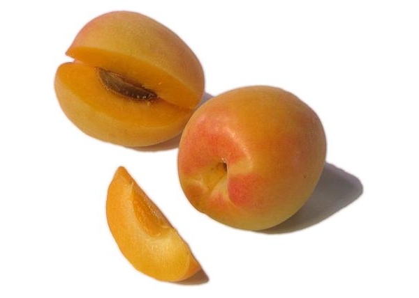 Самые необычные гибриды абрикоса персика сливы и яблока