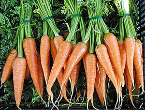Морковь на продажу