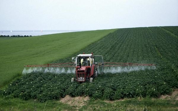 Внесение гербицидов по картофелю на поле