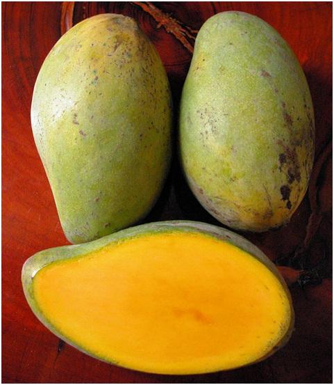 Зелёно-жёлтые манго