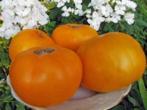Желтые и оранжевые томаты помогают людям при многих заболеваниях